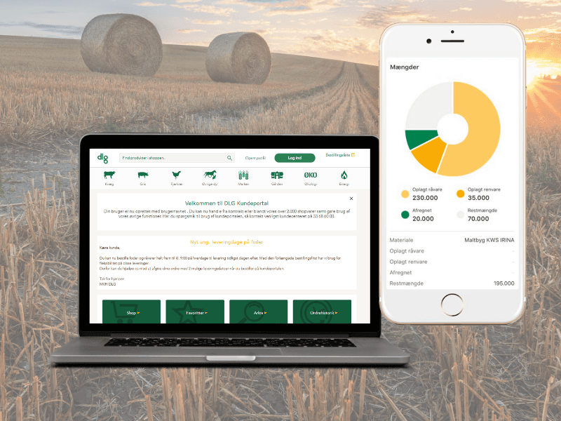 DLG Case Study Project Image